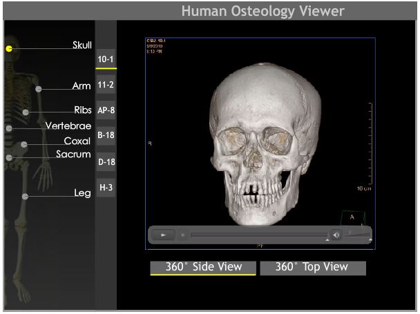 Human Osteology Viewer